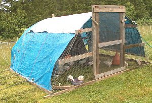 Chicken Coop Plans for Free Range