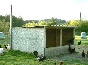 Free-Range Chicken Houses