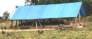 skid shelter